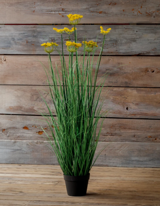 PHDFLW250968 (11616) - Potted Blooming Grass 47"