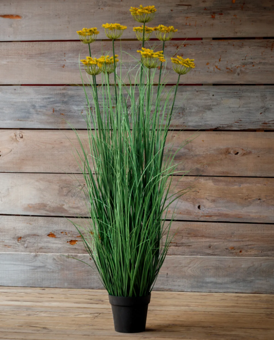PHDFLW250969 (11617) - Potted Blooming Grass 59"