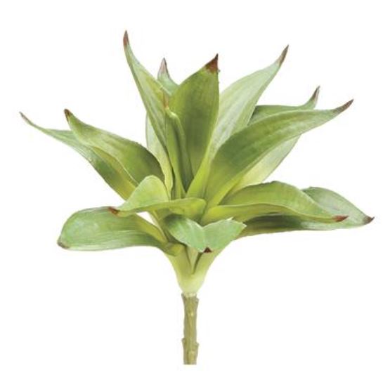 PSD310-GR (32295) - Dracaena Spray Green 10"