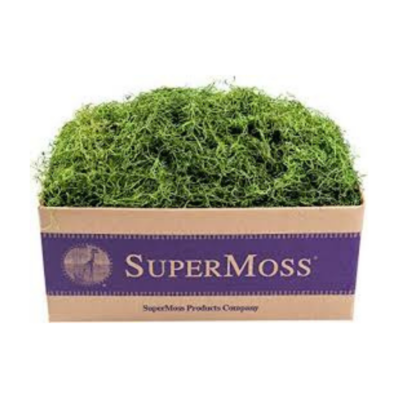 All Moss