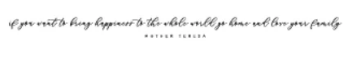 (29591) - Wide Holland Hw-Want To Bring REG $650.00