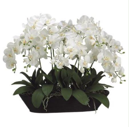 WF1153-CR (26970) - Phalaenopsis 27"X20"X30" White