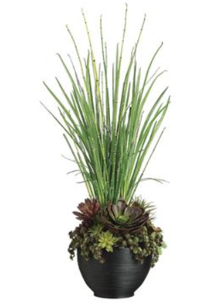 WF1507-BU/GR (25270) - Succulent Yucca In Bamboo Container Burgundy Green