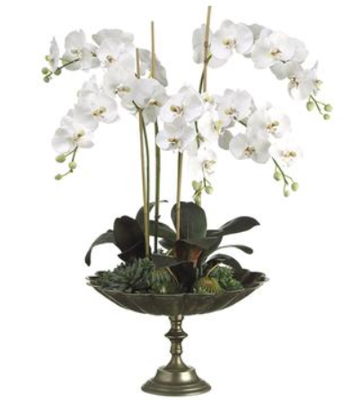 WF1587-WH/GR (25648) - Phalaenopsis Orchid/Succulent in Bowl White Green