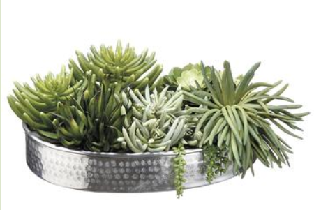 WF1864-GR (26607) - Succulents In Oval Aluminum Plate Green