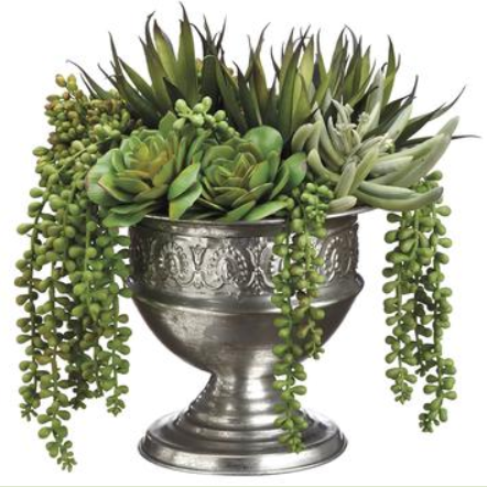 WF1991-GR (25655) - Echeveria/Agave/Pearl In Urn