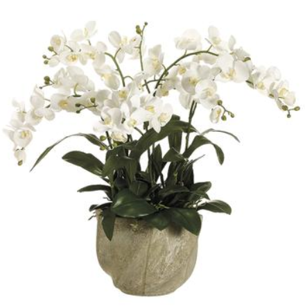 WF3408-WH (26969) - Phalaenopsis Orchid 30"X29"X29" White