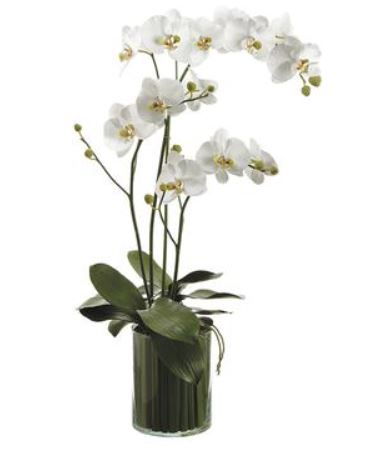WF9210-WH/GR (30633) - Orchids In Soil Wh 36"x9"x22"