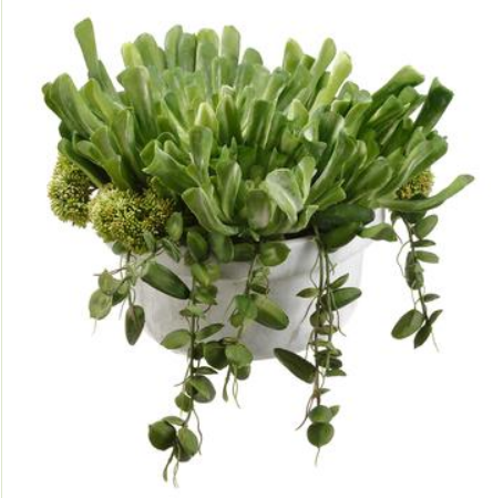 WF9391-GR (27920) - Echeveria/Sedum 11"x15"