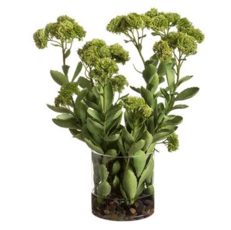 WF9529-GR/BU (29597) - Sedum Vase W/Rocks Gr 25"