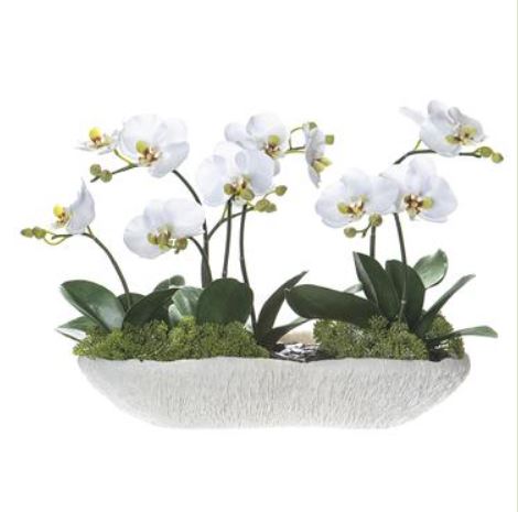 WF9592-WH/GR (30957) - Phal/Skimmia Coral Vse Wh 14.5"