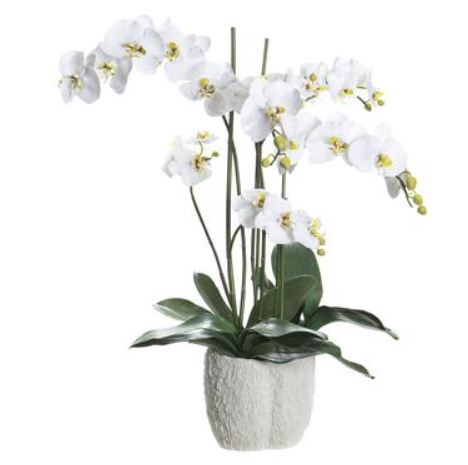 WF9594-WH/GR (30958) - Phalnpsis Coral Vase Wh/Gr 32"