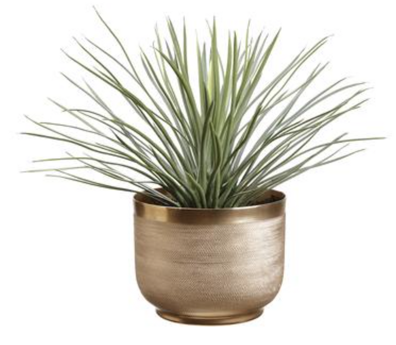 WP0692--GR/GY (29404) - Whipple Yucca Plt/Metalpot 15"