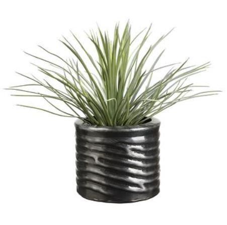 WP0695-GR/GY (29406) - Whipple Yucca Planter Dgray 16"
