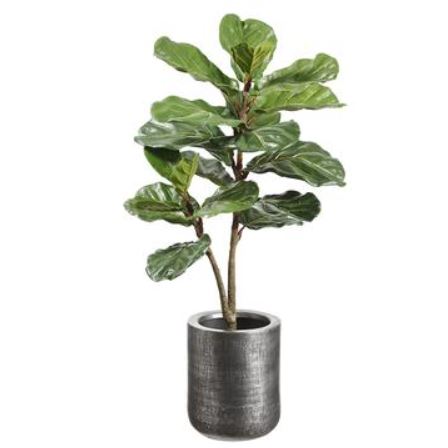 WP0711-GR (29613) - Fiddle Leaf Plant In Pot 42"