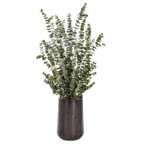 WP0712-GR/GY (30539) - Eucalyptus Plant In Pot 77"