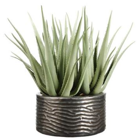 WP0714-GR (29605) - Agave Plant In Container 28"