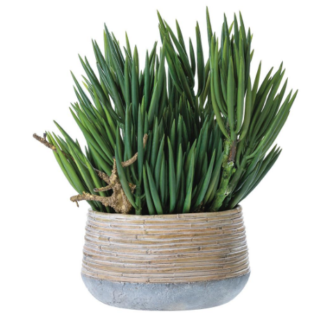 WP0748-GR (11380) - Senecio/Wood In Cement Planter 18"