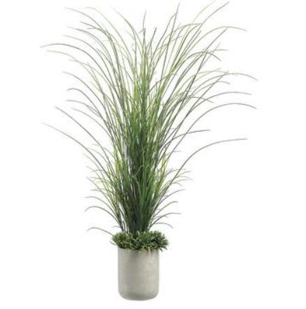 WP7922-GR (25262) - Tall Grass W/Rye 70"
