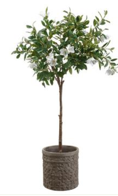 WP8287-GR/WH (27351) - Azalea Plant In Pot 53"
