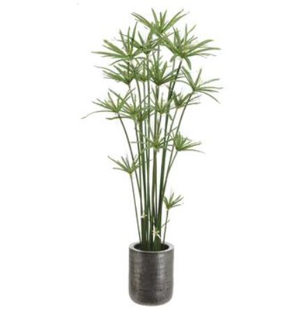 WT0693-GR (29428) - Cypress Grass Tree In Pot 64"
