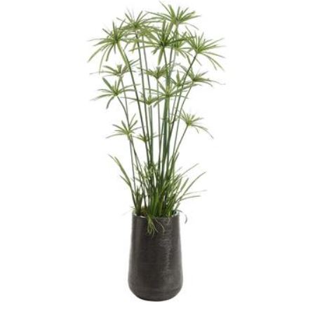 WT0694-GR (29429) - Cypress Grass Tree In Pot 80"