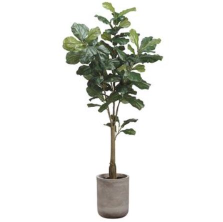 WT4921-GR (27353) - Fiddle Leaf Tree 5.5' In Planter