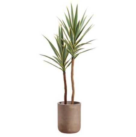 WT5083-GR/CR (29603) - Yucca Tree In Cement Pot 56"