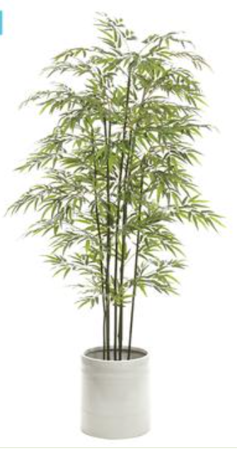 WT5522-GR/WH (28398) - Bamboo Tree In White Pot 89"