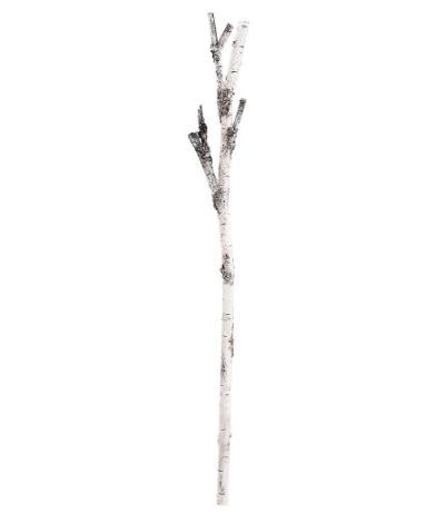 XAQ005-BE/BR (11283) - Faux Birch Branch 56" Beige Brown