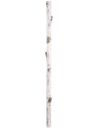 XAQ014-BE/BR (11277) - Faux Birch Stick 78.5" Beige Brown