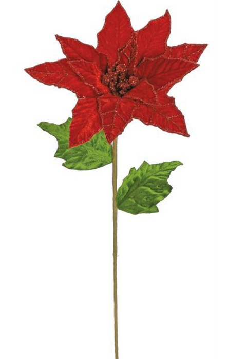 XH572-R (11359) - Velvet Poinsettia W/Glitter 24" Red