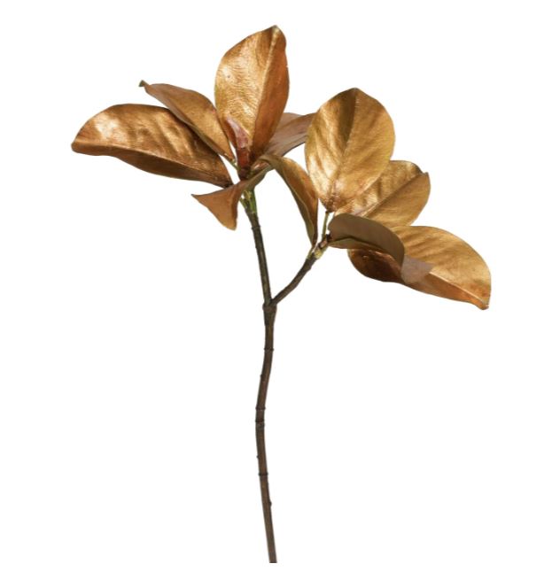 XP065022.GOBR (31132) - Magnolia Leaf Pick 25"