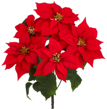 XPB495-RE (00281) - Velvet Poinsettia Bush x5 23" Red
