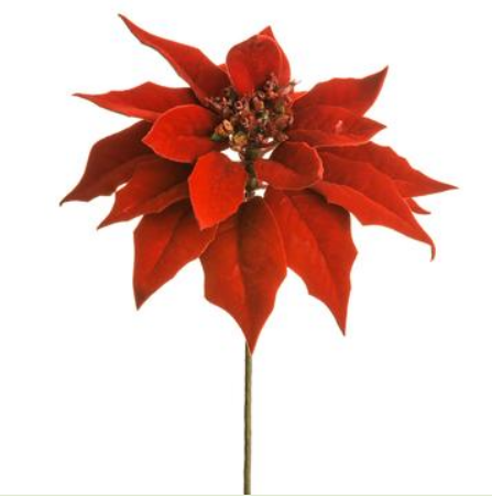 XPK204-RE (27504) - Velvet Poinsettia Red 9"