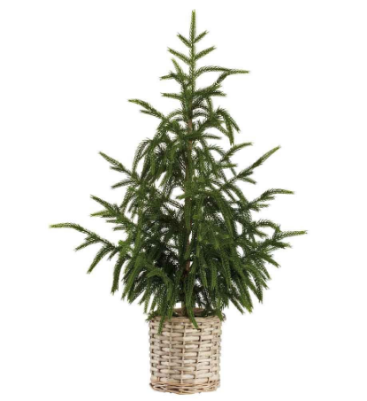 YTM602-GR (11244) - Cypress Tree In Basket 28"Green