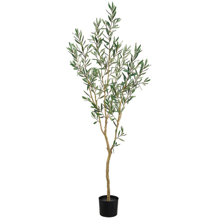 LTO232-GR (11204) - Olive Tree In Plastic Pot Green  5.5'