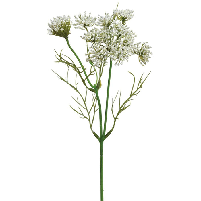 FSQ383-WH (11156) - 13.5" Queen Anne's Lace Spray White