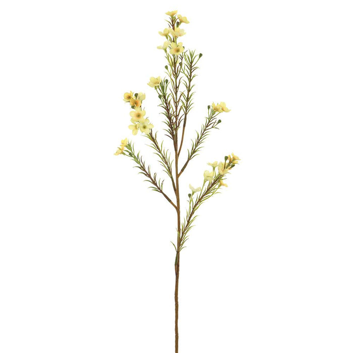 FSW028-YE (11160) - 23.75" Waxflower Spray Yellow