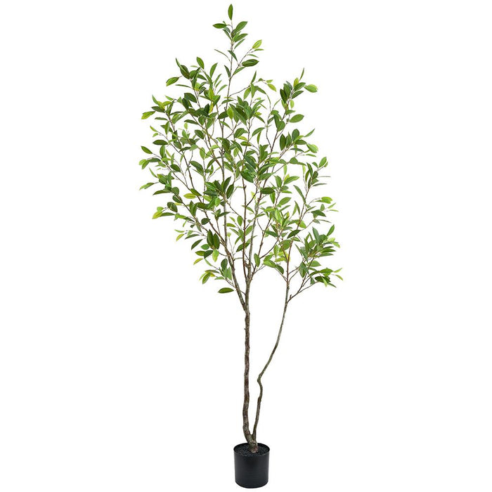 LTL151-GR (11202) - Laurel Tree Plastic Pot Gr 96"