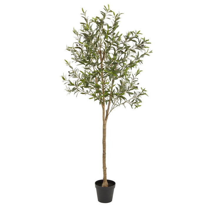 LTO100-GR (11205) - Olive Tree In Plastic Pot 78" Green