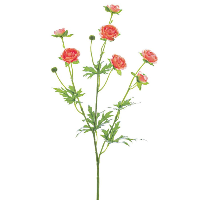 FSR322-PE (11153) - 22" Mini Ranunculus Spray Peach