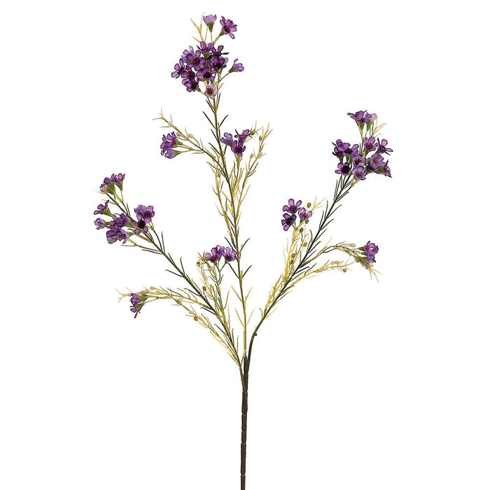 GSW121-PU (11146) - Waxflower Spray X3 27" Purple