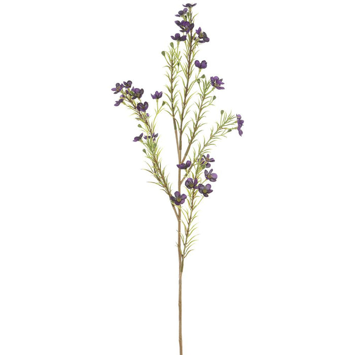 FSW028-PU (11161) - 23.75" Waxflower Spray Purple