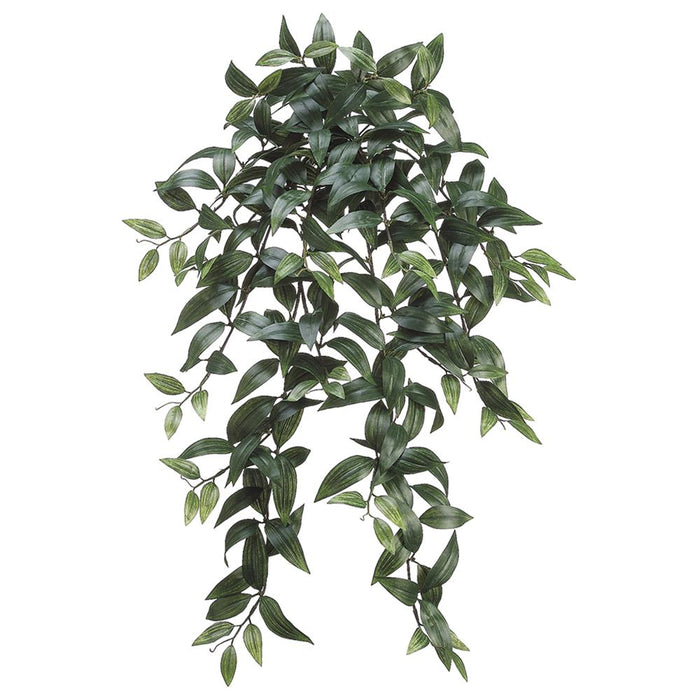 PBW449-GR (11203) - Ruscus Hanging Bush Green 31"