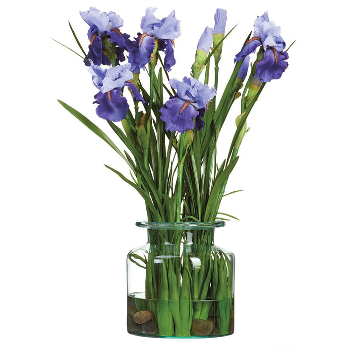 WF0756-PU/BL (00151) - Bearded Iris/Grass in Glass Vase Purple/Blue 28"x14"x16"