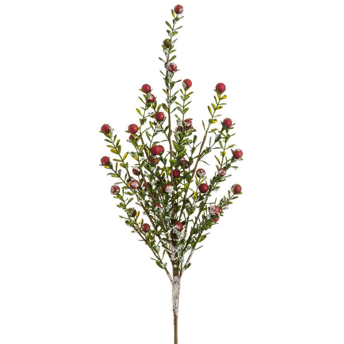 XBS324-RE (00470) - Iced Berry Spray 21" Red