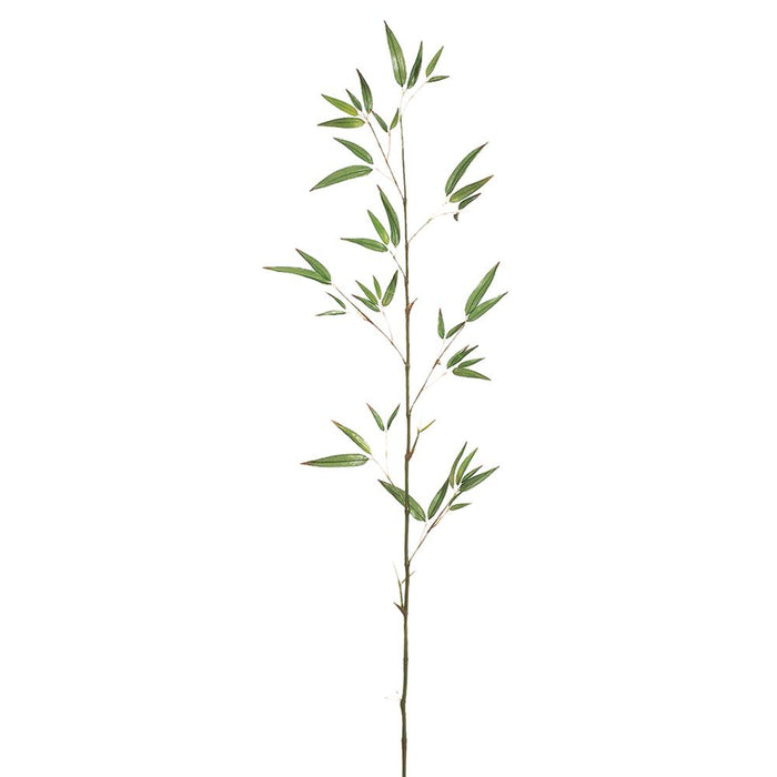 QSB976-GR (00468) - Bamboo Spray 46" Green