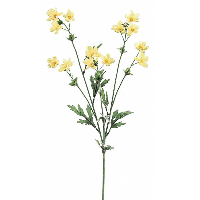GTC897-YE (11158) - Baby Cosmos 27.5" Spray X5 Yellow