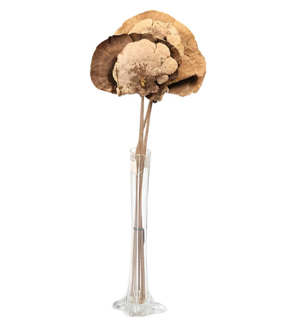 13201801 (2618) - Sponge Mushroom On Stem 6Pc